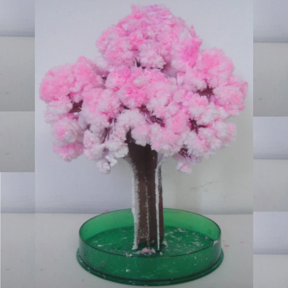 10PCS 2019 14Hx11Dcm Pink Big Magic Paper Japanese Sakura Tree Mystically Growing Trees Kit Desktop Cherry Blossom Hot Kids Toys
10PCS 2019 14Hx11Dcm Pink Big Magic Paper Japanese Sakura Tree Mystically Growing Trees Kit Desktop Cherry Blossom Hot Kids Toys