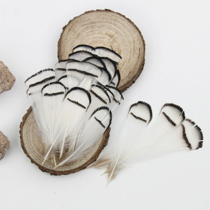 200 pcs 4-9 cm High quality White Natural Pheasant Chicken Feathers Plumes for DIY jewelry Dance clothing Decoration Wholesale
200 pcs 4-9 cm High quality White Natural Pheasant Chicken Feathers Plumes for DIY jewelry Dance clothing Decoration Wholesale