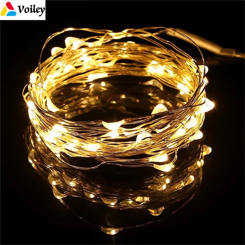 Christmas Decorations for Tree 4M 40 LEDs Warm White Micro Copper Wire Firefly Fairy Lights Noel 2018 New Year Home Decoration,Q
Christmas Decorations for Tree 4M 40 LEDs Warm White Micro Copper Wire Firefly Fairy Lights Noel 2018 New Year Home Decoration,Q