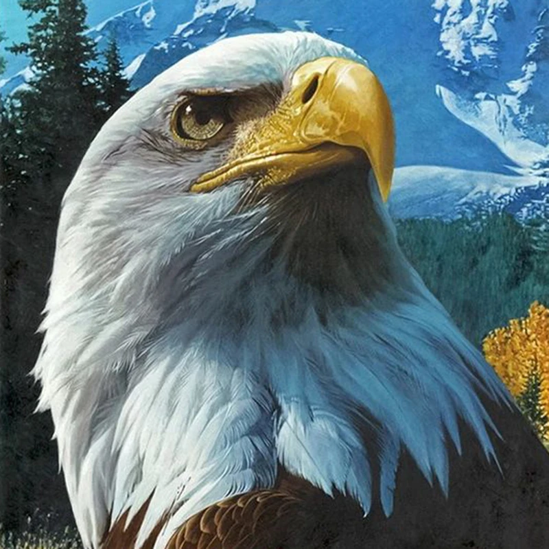 Full Square drill 5D DIY Diamond painting eagle Diamond Embroidery Mosaic Cross Stitch Rhinestone decoration