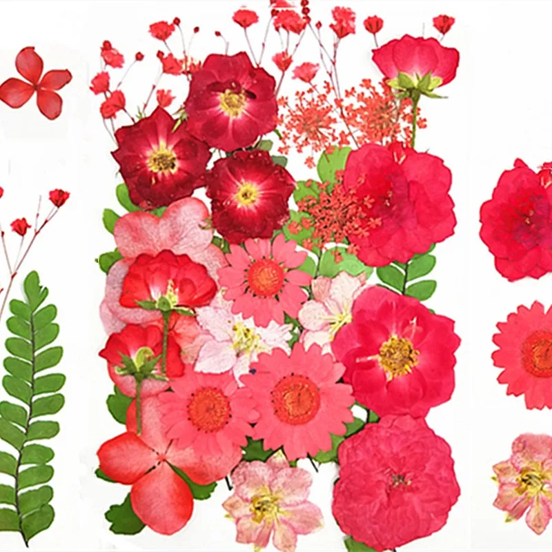rose Natural Dried Flowers combination DIY Pressed Herbarium Flower Decorative Crafts filler jewelry making Handmade material
rose Natural Dried Flowers combination DIY Pressed Herbarium Flower Decorative Crafts filler jewelry making Handmade material