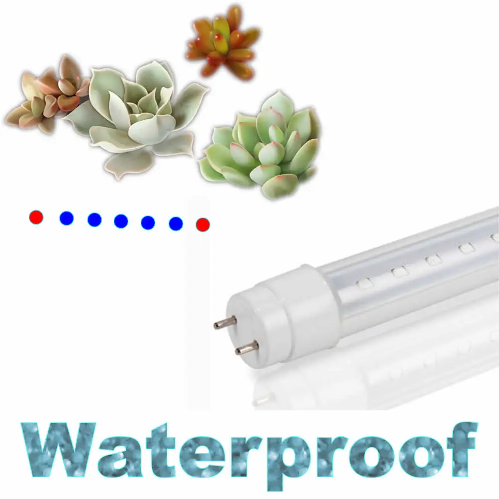 Led Grow Light Kit Waterproof Office Home Indoor Succulent Plant Grow Tubes Red and Blue 1:5 30cm Lot of 4 Total 4Ft
Led Grow Light Kit Waterproof Office Home Indoor Succulent Plant Grow Tubes Red and Blue 1:5 30cm Lot of 4 Total 4Ft