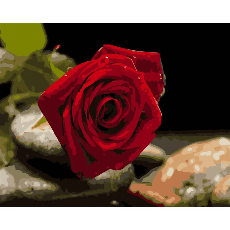 Painting By Numbers DIY Dropshipping 40x50 50x65cm Beautiful flirty red rose Flower Canvas Wedding Decoration Art picture Gift
Painting By Numbers DIY Dropshipping 40x50 50x65cm Beautiful flirty red rose Flower Canvas Wedding Decoration Art picture Gift