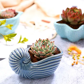 Creative Ceramic Flower Pot Animal Shape Succulent Flower Pot Garden Desktop Home Office Decoration Fun Gifts Dropshipping
Creative Ceramic Flower Pot Animal Shape Succulent Flower Pot Garden Desktop Home Office Decoration Fun Gifts Dropshipping