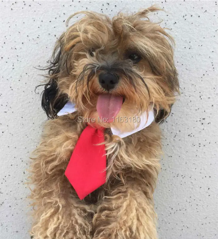 200pcs/lot New Lovely Puppy Small Adjustable Dog Bow Tie Neck Tie Cute Pet Cotton British Style Collar Neck Tie Cosplay Clothes
200pcs/lot New Lovely Puppy Small Adjustable Dog Bow Tie Neck Tie Cute Pet Cotton British Style Collar Neck Tie Cosplay Clothes