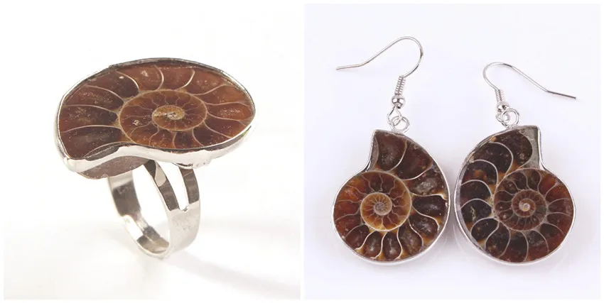 Trendy-beads Silver Plated Natural Ammonite Reliquiae Resizable Ring Hook Earrings For Anniversary Jewelry Sets
Trendy-beads Silver Plated Natural Ammonite Reliquiae Resizable Ring Hook Earrings For Anniversary Jewelry Sets