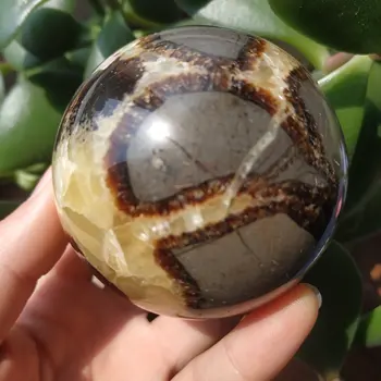 Natural crystal Rare Fossil Crystal Sphere Ball Natural crystal turtle stone ball bouquet quartz crystals Decoration Crafts
Natural crystal Rare Fossil Crystal Sphere Ball Natural crystal turtle stone ball bouquet quartz crystals Decoration Crafts