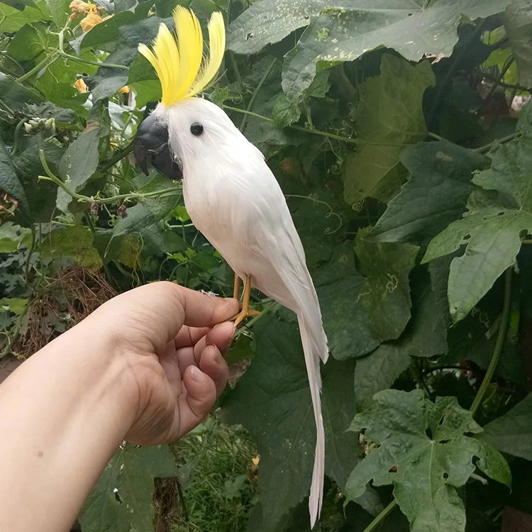 real life Bird white feathers parrot model about 30cm Cockatoo home garden decoration prop decoration toy gift h1478
real life Bird white feathers parrot model about 30cm Cockatoo home garden decoration prop decoration toy gift h1478
