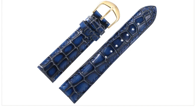 3146844080_1417998351