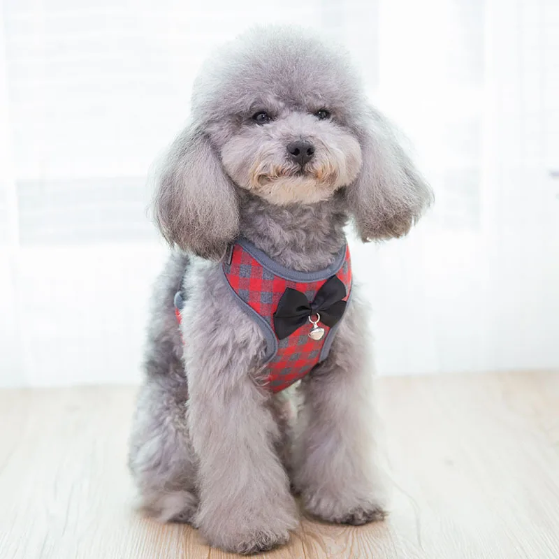 Fashion Lattice Dog Harness and Leash Set Teddy Dog Harness Vest Pet Walking Harnesses Leash Set Puppy Collar for Small Dogs Cat
Fashion Lattice Dog Harness and Leash Set Teddy Dog Harness Vest Pet Walking Harnesses Leash Set Puppy Collar for Small Dogs Cat