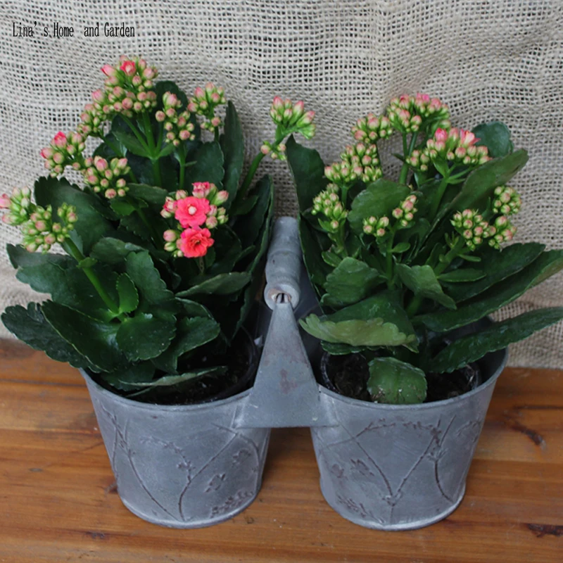 retro antique metal handcrafted double flower pot with handle (2)