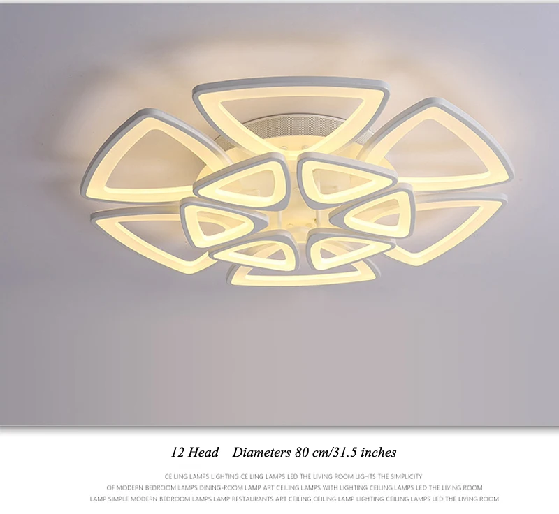 modern ceiling light (25)