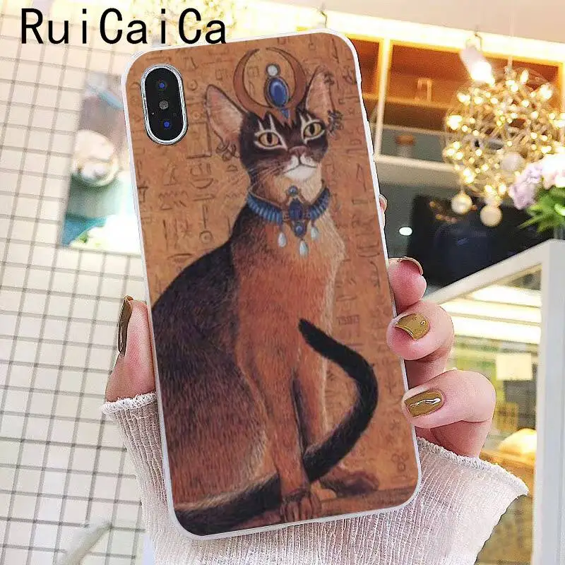 Egypt mysterious Tarot Divination cat