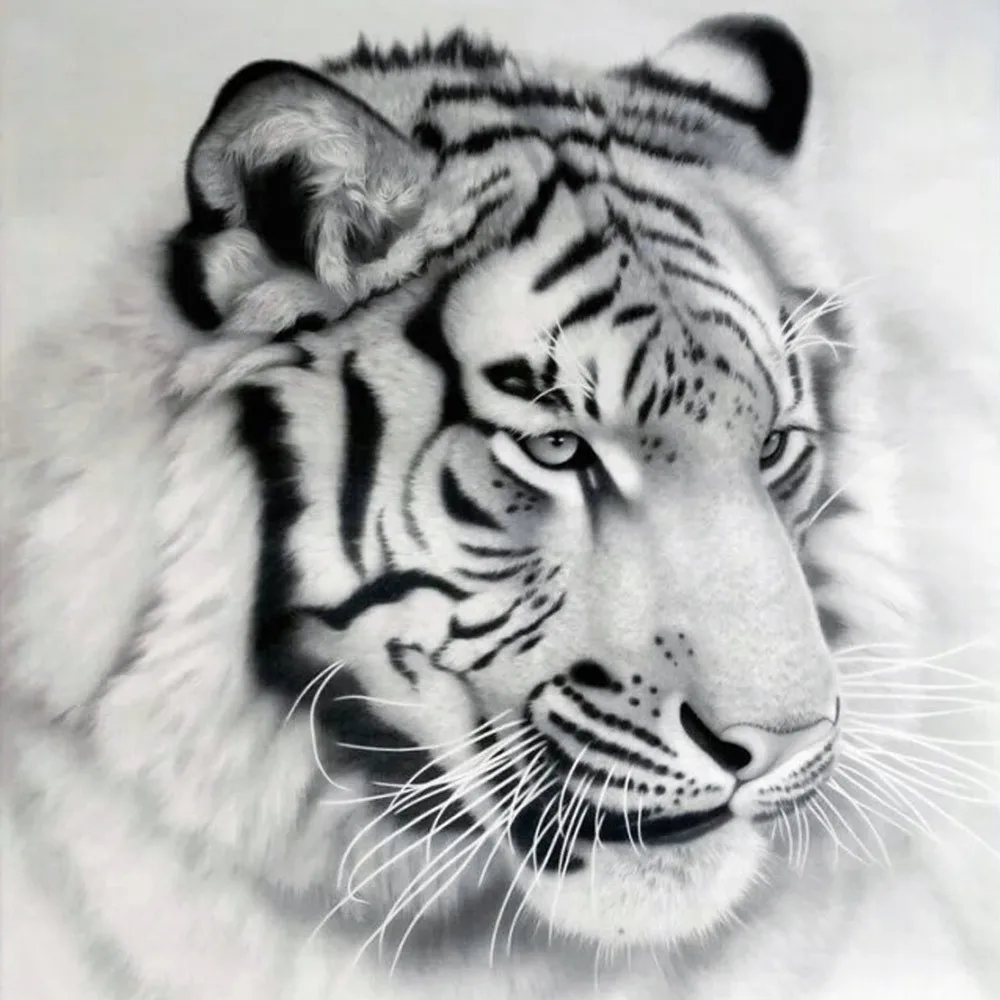 Unique fashion DIY 5D Tiger Round Diamond Painting Cross Stitch Rhinestone Embroidery Home Decor with Crystal Paste Tool
Unique fashion DIY 5D Tiger Round Diamond Painting Cross Stitch Rhinestone Embroidery Home Decor with Crystal Paste Tool