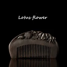 100% Wooden Comb Health Care Anti-static Massage Black Sandalwood Comb Handmade Beauty Lotus Seed Hair Brush
100% Wooden Comb Health Care Anti-static Massage Black Sandalwood Comb Handmade Beauty Lotus Seed Hair Brush