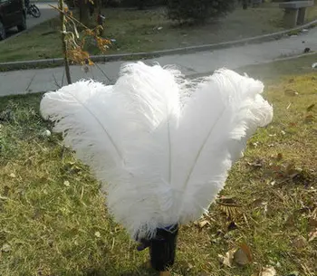 Sell high quality 20pcs / lot white ostrich feather 20-22 "/ 50-55cm, DIY jewelry accessories /Wedding decoration
Sell high quality 20pcs / lot white ostrich feather 20-22 "/ 50-55cm, DIY jewelry accessories /Wedding decoration