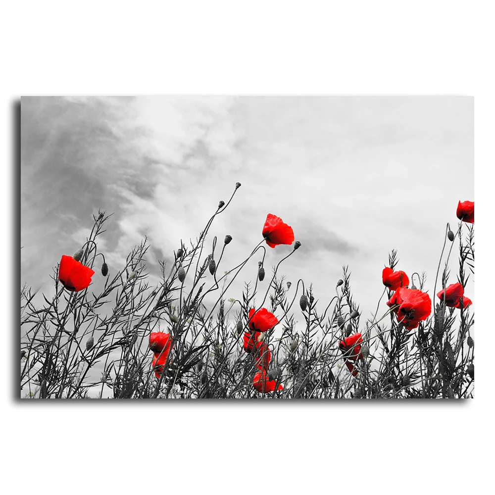 Black and white landscape with red flower Wall Picture Wall art landscape flower canvas painting home decor Pictures Posters
Black and white landscape with red flower Wall Picture Wall art landscape flower canvas painting home decor Pictures Posters