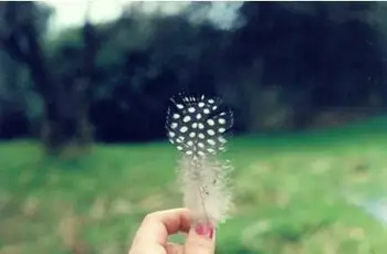 Free shipping! 1000pcs DIY Dress/Dreamcatcher/Brooch Decorations 5cm Natural color Pheasant Feathers
Free shipping! 1000pcs DIY Dress/Dreamcatcher/Brooch Decorations 5cm Natural color Pheasant Feathers