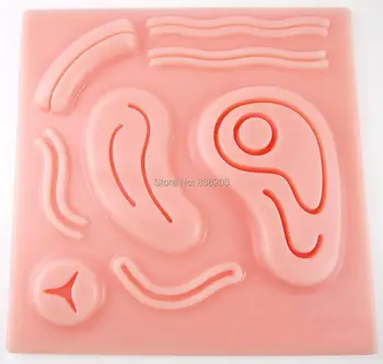 Human traumatic pistol skeleton trauma medical instruments anatomy Anatomical Teaching Suture Pad With Wounds Silicone 6x6'inch
Human traumatic pistol skeleton trauma medical instruments anatomy Anatomical Teaching Suture Pad With Wounds Silicone 6x6'inch