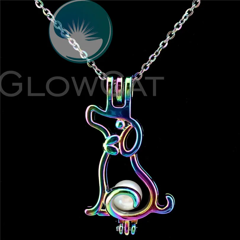 C807 Rainbow Colors Puppy Dog Beads Cage Perfume Essential Oil Diffuser Oyster Pearl Cage Locket Necklace
C807 Rainbow Colors Puppy Dog Beads Cage Perfume Essential Oil Diffuser Oyster Pearl Cage Locket Necklace