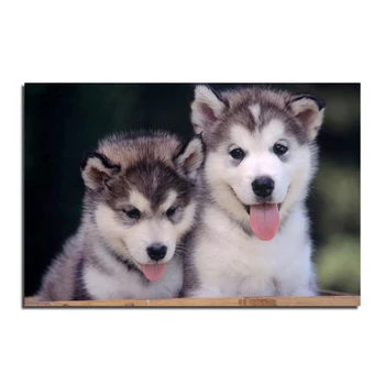 Two dogs 60X40 new needlework 100% full square drill diamond painting diy cross stitch diamond embroidery mosaic
Two dogs 60X40 new needlework 100% full square drill diamond painting diy cross stitch diamond embroidery mosaic