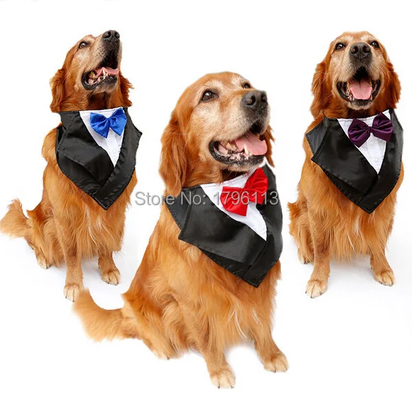 2015 new large dog fashion neckties big dogs Wedding tuxedobibs bandage accessories pet bowknot ties supplies pets bowties 1pcs
2015 new large dog fashion neckties big dogs Wedding tuxedobibs bandage accessories pet bowknot ties supplies pets bowties 1pcs