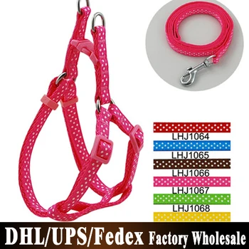 200Pcs/Lot Brand New Nylon Pet Cat Doggie Puppy Leashes Lead Harness Belt Rope
200Pcs/Lot Brand New Nylon Pet Cat Doggie Puppy Leashes Lead Harness Belt Rope
