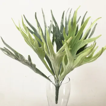 one Artificial Antler Leaf 9 Stems/Bunch Fake Flocking Deer Horn Plant Plastic Greenery 14.97" for Green Wall Decoration Grass
one Artificial Antler Leaf 9 Stems/Bunch Fake Flocking Deer Horn Plant Plastic Greenery 14.97" for Green Wall Decoration Grass