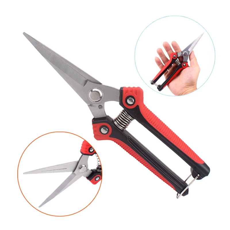 High quality professional stainless steel pointed orchard picking fruit shears picking fruit grape pruning Tools
High quality professional stainless steel pointed orchard picking fruit shears picking fruit grape pruning Tools