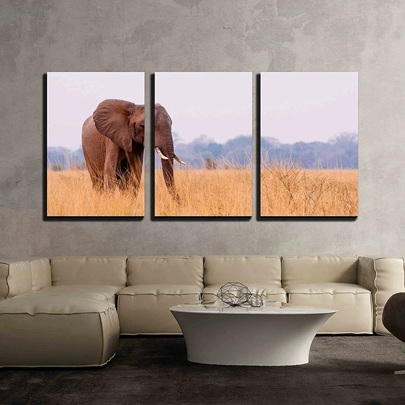 3pcs Animal African Elephant Diamond Painting Full Round Diamond Mosaic Embroidery Painting Handmade Needlework Wall Decor
3pcs Animal African Elephant Diamond Painting Full Round Diamond Mosaic Embroidery Painting Handmade Needlework Wall Decor