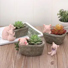 עציצי Creative הסיני סגנון כיף גן חזיר סירי בית גן עסיסי עציצי צמחי שולחן עבודה בונסאי אספקת גן(China)