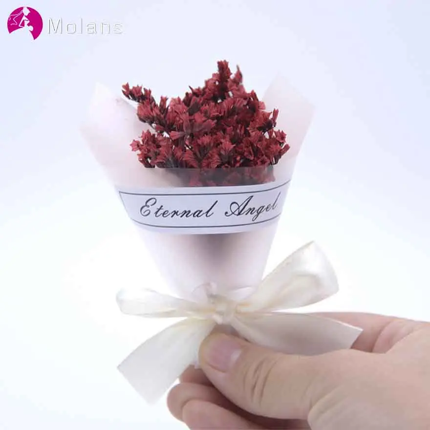 MOLANS Muti-color Stimulation Dried Flower Mini Bouquets for Valentine’s Day Gifts Lovely Flower with White Ribbon Decoration
MOLANS Muti-color Stimulation Dried Flower Mini Bouquets for Valentine’s Day Gifts Lovely Flower with White Ribbon Decoration