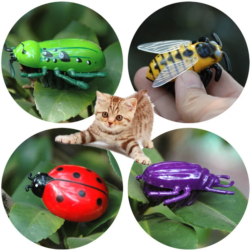 NEW 4 Style Electronic Dog Cat Play Interactive Toys Auto Running Insect Pet Training Interactive Toy For Dog Cat Accessories
NEW 4 Style Electronic Dog Cat Play Interactive Toys Auto Running Insect Pet Training Interactive Toy For Dog Cat Accessories