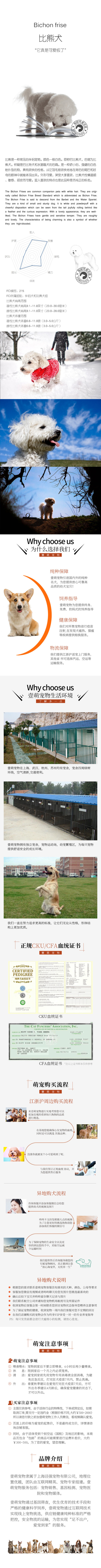 纯种比熊 包健康好养.购买签协议.疫苗齐全