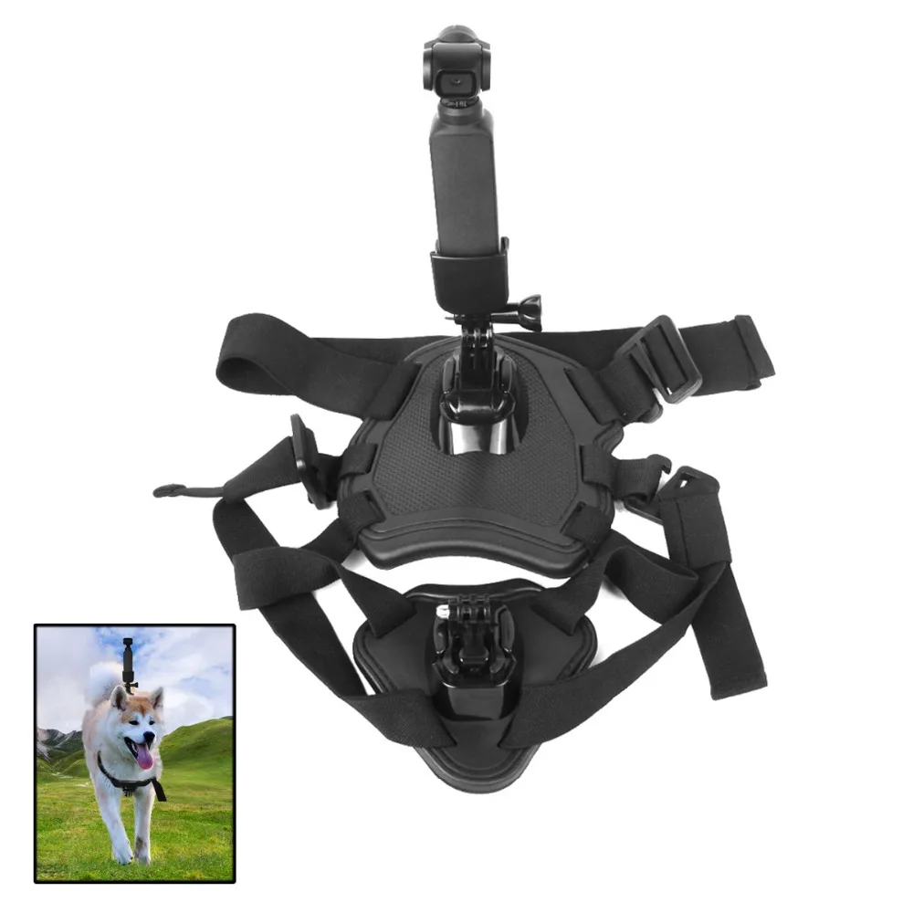 Pet Dog Band + Adapter For DJI OSMO Pocket Camera video Recorder Gimbal or Action Camera
Pet Dog Band + Adapter For DJI OSMO Pocket Camera video Recorder Gimbal or Action Camera