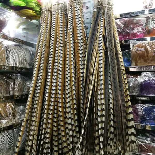 10pcs 150-160 cm/60-64 inches Natural copper chicken feathers decoration diy collection stage performances
10pcs 150-160 cm/60-64 inches Natural copper chicken feathers decoration diy collection stage performances