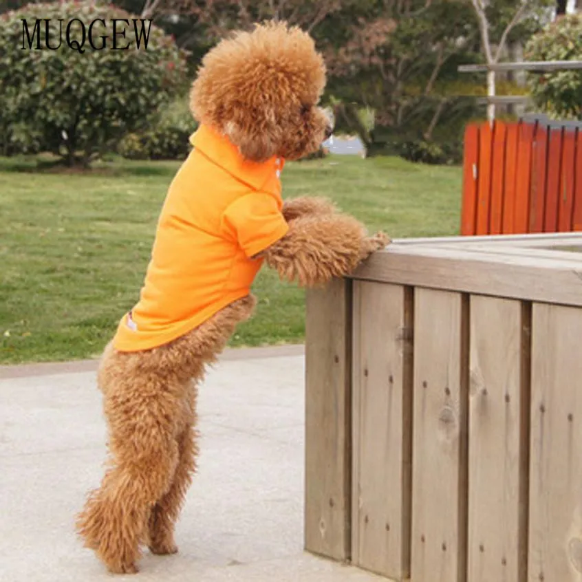 MUQGEW Dog Clothing For Small Dogs Summer Pet Puppy Summer dog clothes for small dogs puppy chihuahua t shirts chihuahua tshir
MUQGEW Dog Clothing For Small Dogs Summer Pet Puppy Summer dog clothes for small dogs puppy chihuahua t shirts chihuahua tshir