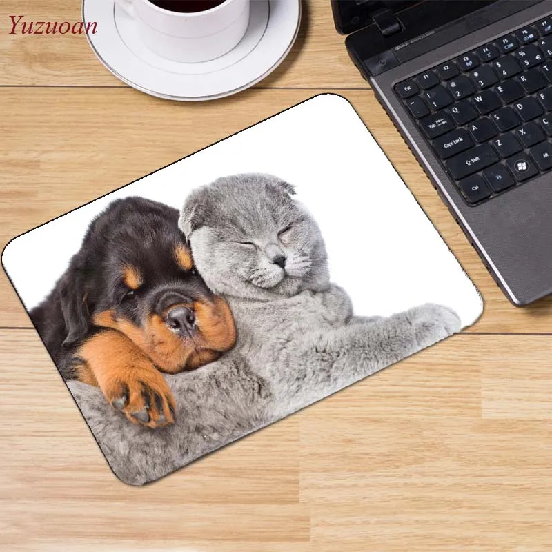 16dogs-thought-lost-dog-widescreen-wallpaper-1920x1080 (7)