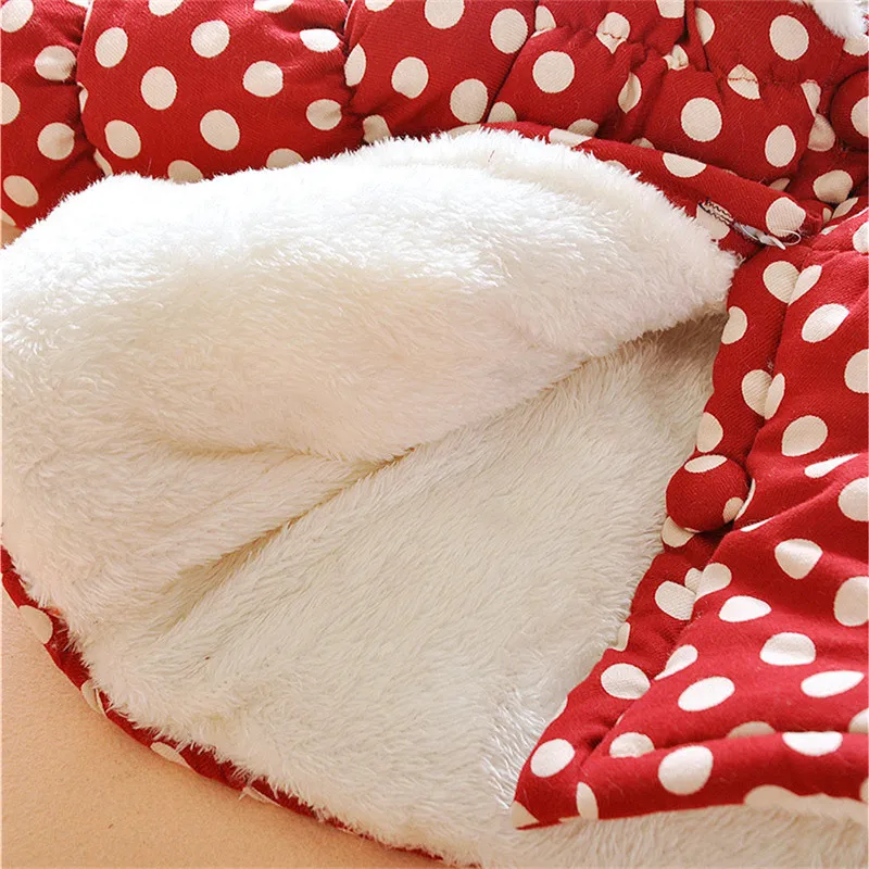 2423313044_128607065