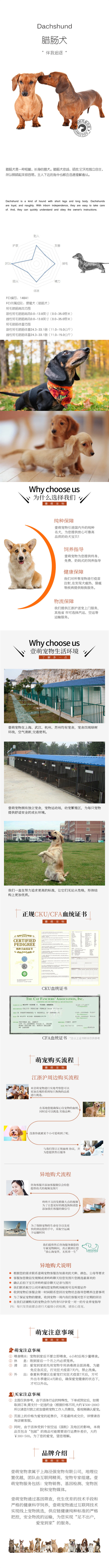 精品纯种腊肠幼犬 家养包纯种健康可视频挑选！