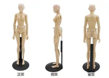 sketch cartoon drawing female mannequin model plastic massage model free shipping
sketch cartoon drawing female mannequin model plastic massage model free shipping