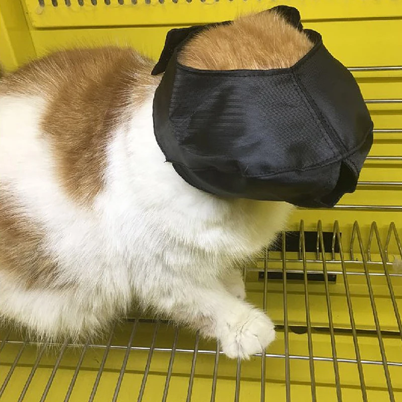 Adjustable Cat Eye-Patch Muzzle Cat Eyeshade Muzzle Durable Nylon Calm Down Cats Pet Cat Grooming Supplies Products
Adjustable Cat Eye-Patch Muzzle Cat Eyeshade Muzzle Durable Nylon Calm Down Cats Pet Cat Grooming Supplies Products