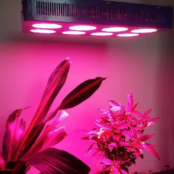 High Power LED Chip Full Spectrum Grow Light Lamp 20W 10W 30W 50W 100W 380nm - 840nm COB Beads for Indoor Plant Growth 2018
High Power LED Chip Full Spectrum Grow Light Lamp 20W 10W 30W 50W 100W 380nm - 840nm COB Beads for Indoor Plant Growth 2018