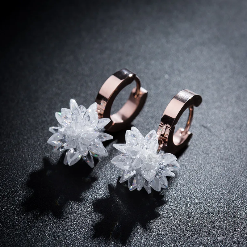 New Creative Ice Flower Cubic Zirconia Titanium Steel Hoop Earrings For Women Rose Gold Wedding Anniversary Earrings RN01281
New Creative Ice Flower Cubic Zirconia Titanium Steel Hoop Earrings For Women Rose Gold Wedding Anniversary Earrings RN01281