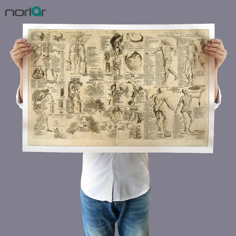 Wall Art Picture Canvas Painting Da Vinci Anatomy Drawings Retro Poster Print Body Map Pictures for Medical Education NO Frame
Wall Art Picture Canvas Painting Da Vinci Anatomy Drawings Retro Poster Print Body Map Pictures for Medical Education NO Frame