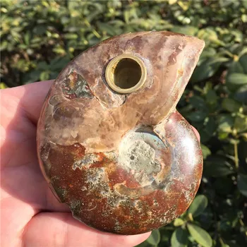 Drop Shipping Big Size Rainbow Natural Ammonite Fossil Smoking Pipe With Strainer Crystal Quartz Stone Healing Wand As Gift
Drop Shipping Big Size Rainbow Natural Ammonite Fossil Smoking Pipe With Strainer Crystal Quartz Stone Healing Wand As Gift