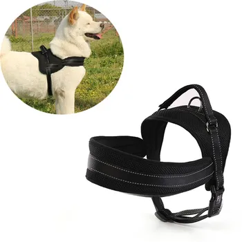 New Arrival Dog Harness Pet Chest Dog Explosion-proof Pull Traction Anti-bite Dog Chain Rope Back in Large Strap
New Arrival Dog Harness Pet Chest Dog Explosion-proof Pull Traction Anti-bite Dog Chain Rope Back in Large Strap