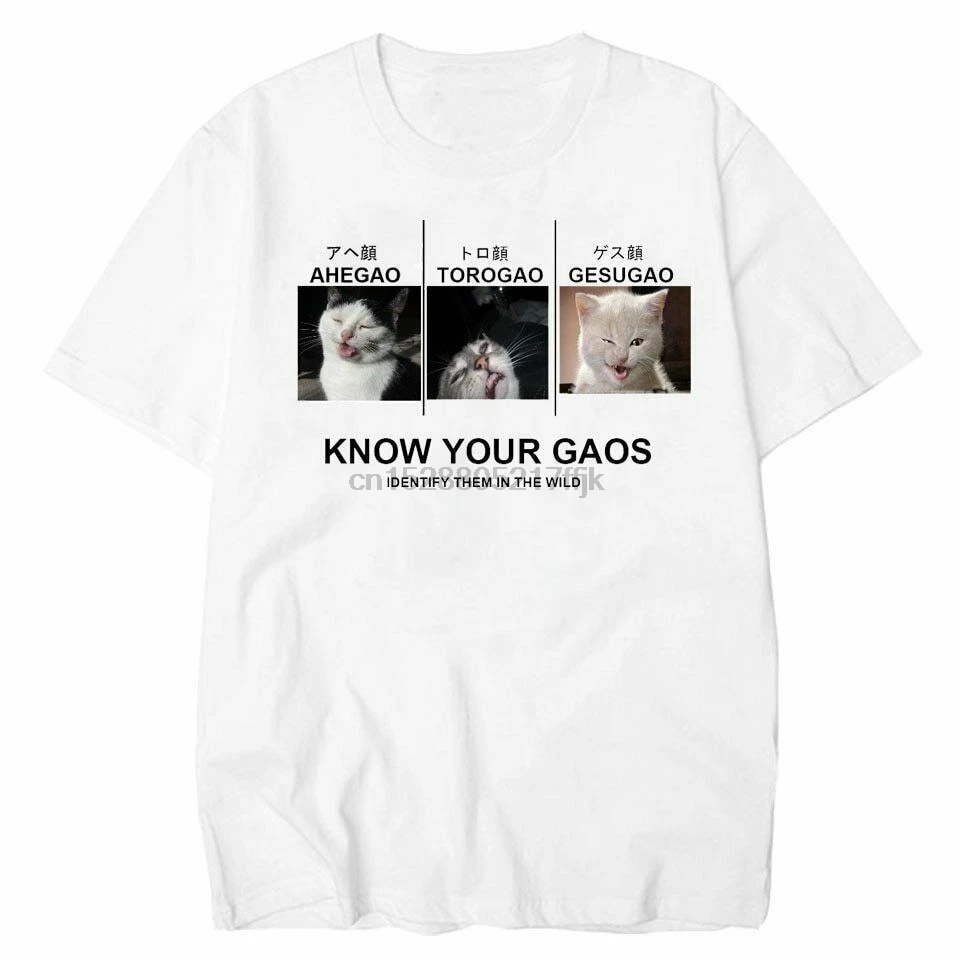 Know Your Face Ahegao Torogao Gesugao Funny Cat Hentai Meme White T-Shirt 2019 Newest Letter Print Cartoon Crazy T Shirts | Мужская