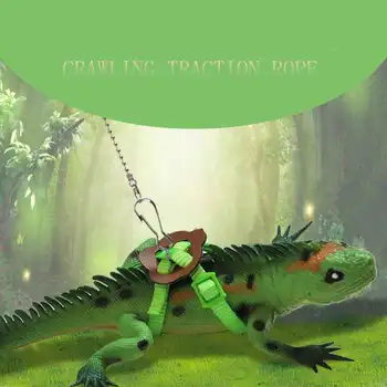 Ferret Harness Strap Lizard Small Animal Supplies Reptile Lizard Harness Accessories Training Rope Reptile Leash Durable
Ferret Harness Strap Lizard Small Animal Supplies Reptile Lizard Harness Accessories Training Rope Reptile Leash Durable