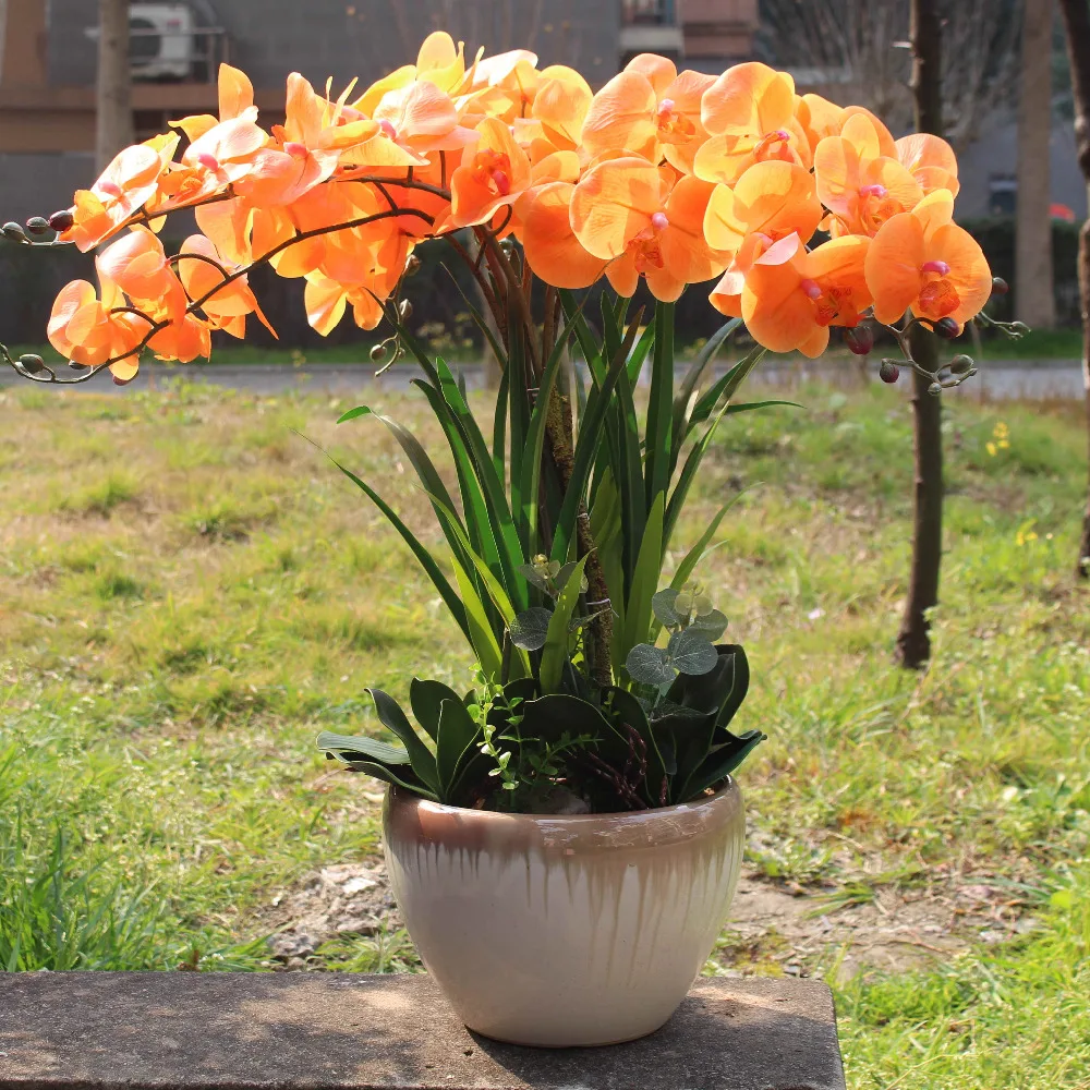 orange orchid sunset color real touch flower leaves artificial orchids big orchid flower arrangement composition no vase
orange orchid sunset color real touch flower leaves artificial orchids big orchid flower arrangement composition no vase